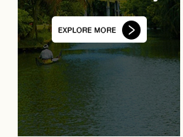 Explore More