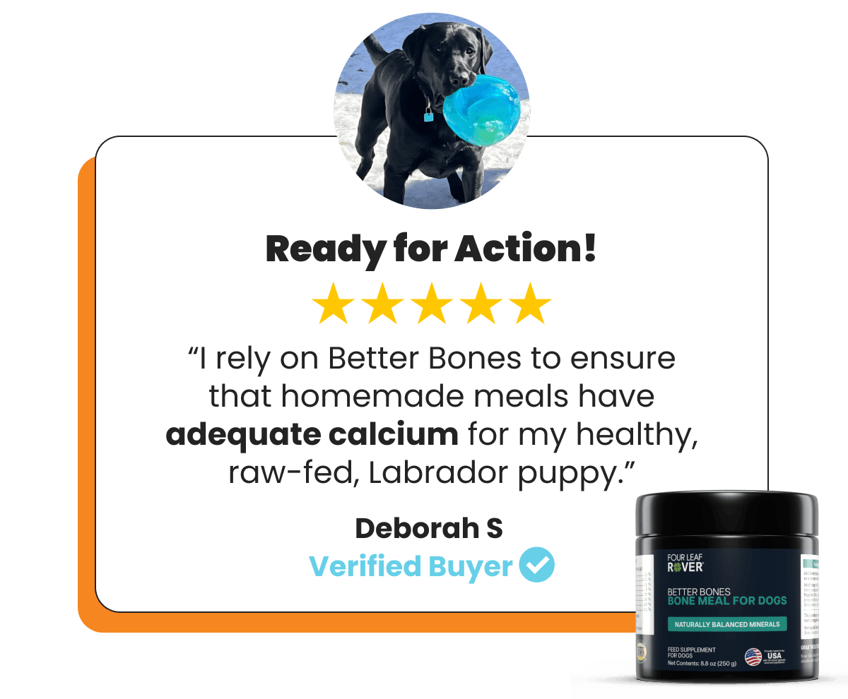 Testimonial featuring a 5-star review for Better Bones