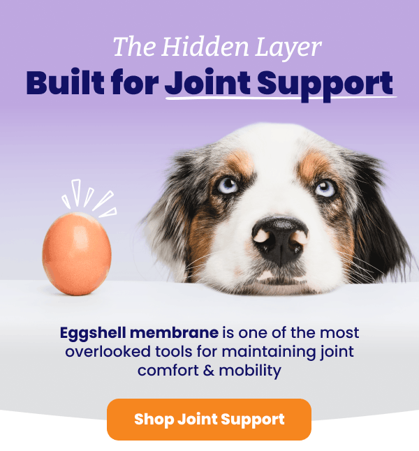 hidden layer built for joint support. Eggshell membrane in Hip & Joint