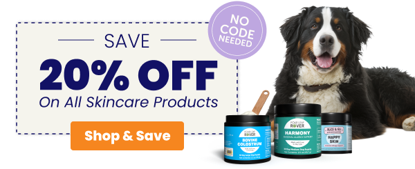 Save 20% on all skincare products 