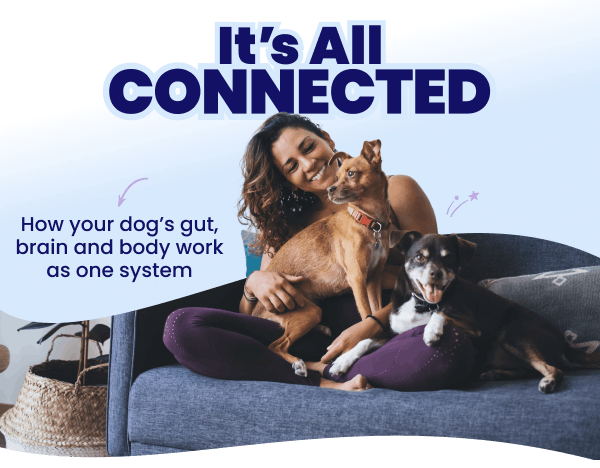 It's All Connected (All About the gut and body) woman an dog