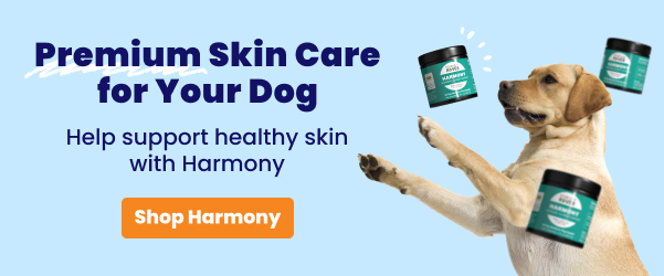 Shop Harmony