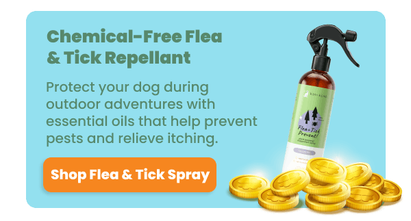Chemical-free flea & tick repellant from Kin & Kind