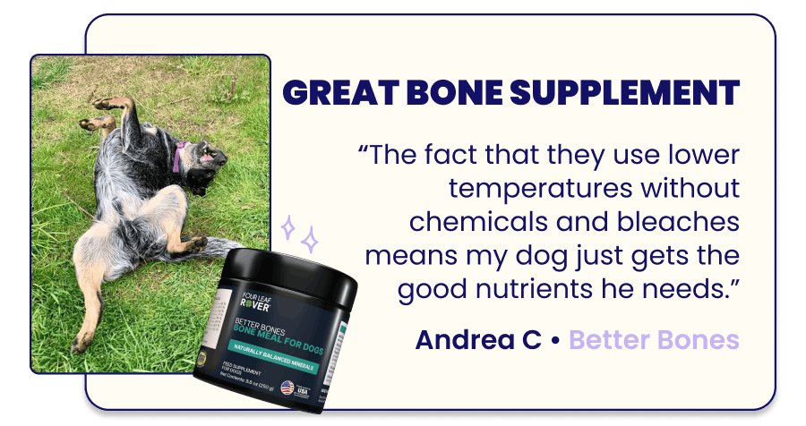 Great Bone Supplement