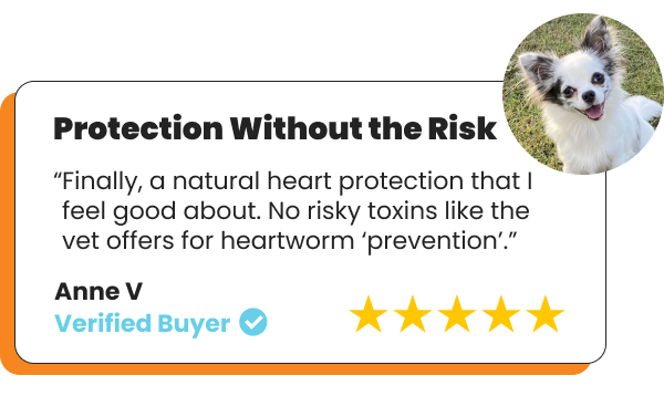 protection without the risk testimonial box with white little dog