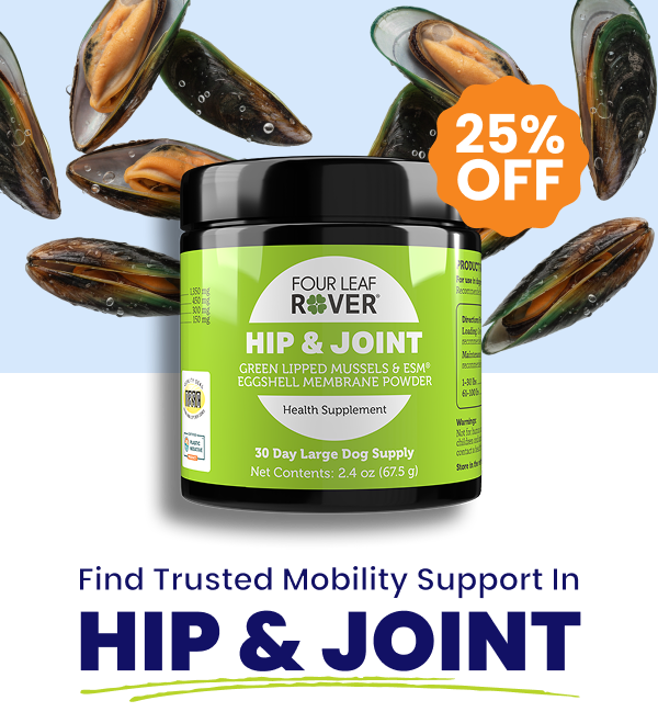 Hip & Joint jar with green lipped mussels in background