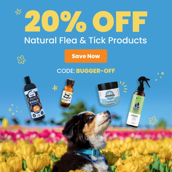 Dogs running in grass with natural flea and tick products.