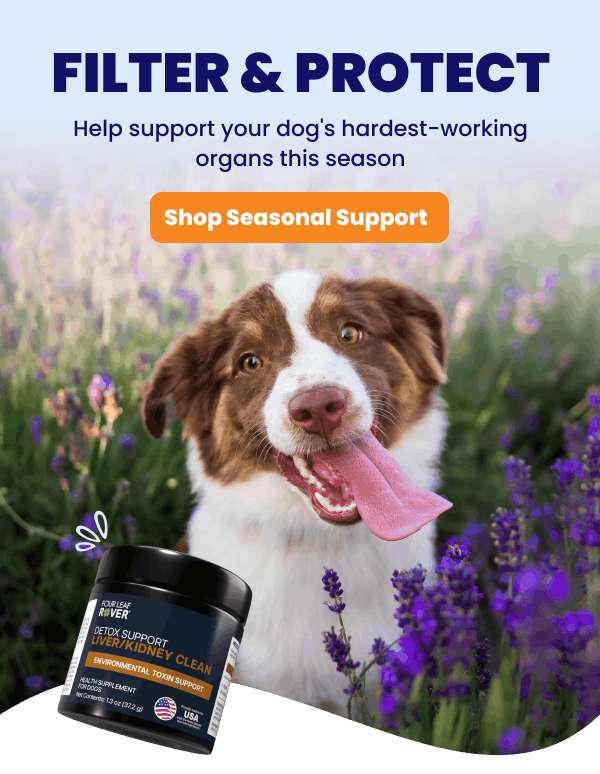 Help support your dog's hardest-working organs this season with Liver/Kidney Clean