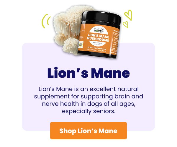 Lion's Mane jar with mushrooms around it and purple box with description 