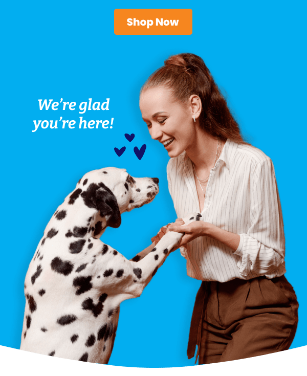 Grab Your Savings Now