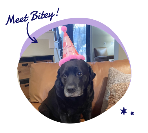 Bitey wearing pink birthday hat 