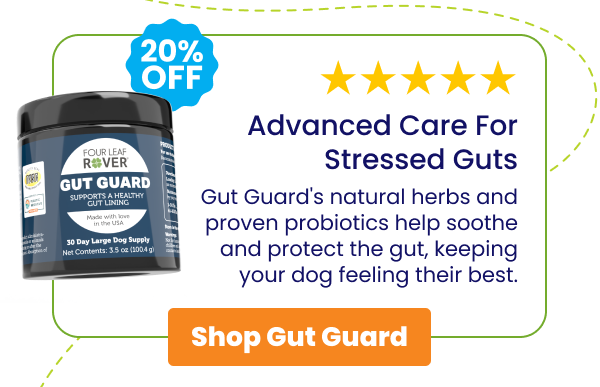 Gut Guard -  Advanced care for stressed guts