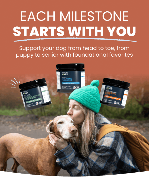 Your dog's immune system doesn't take days off