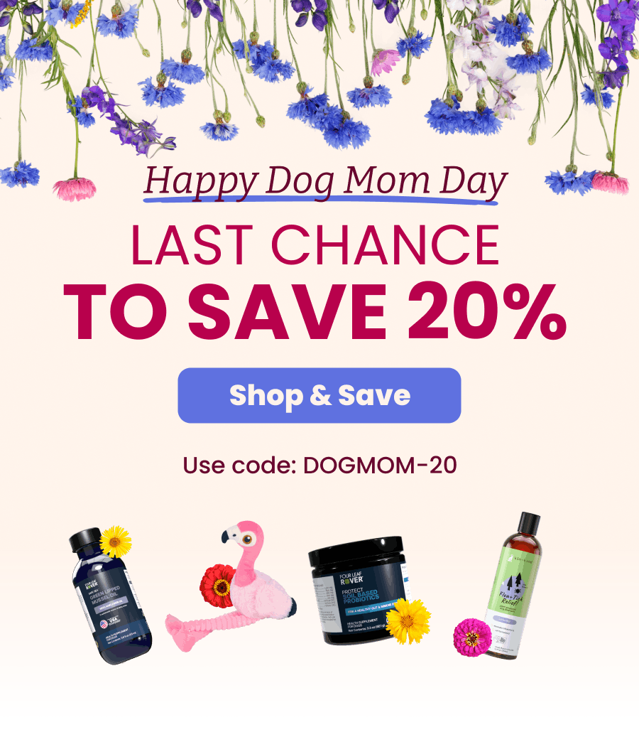 Last chance to save 20%