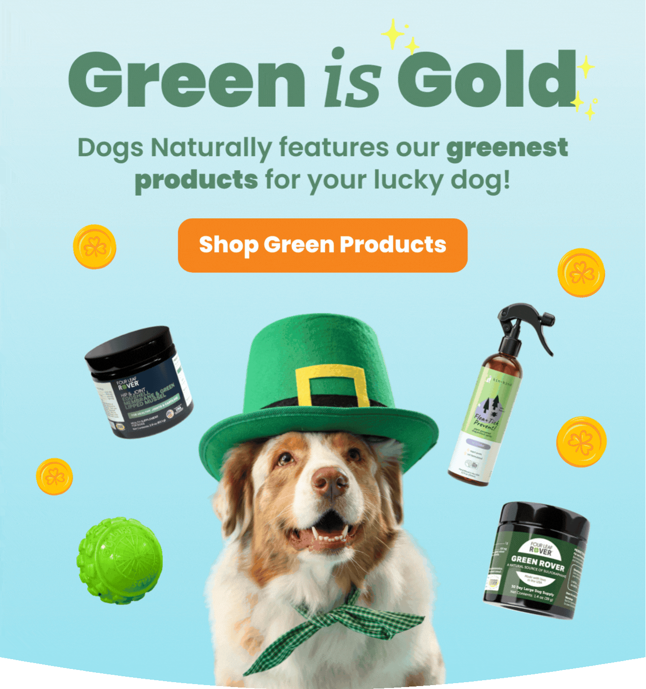 Dog wth Irish hat and products floating around