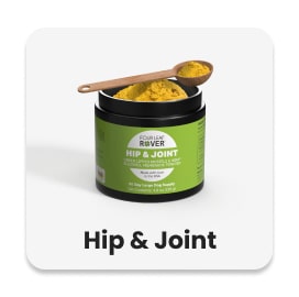 Hip & Joint Support
