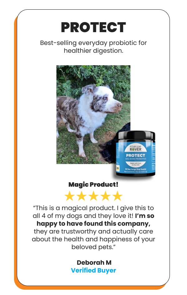 Protect, Everyday Probiotic