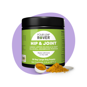 Hip & Joint