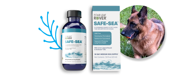 5 star review for Safe-Sea