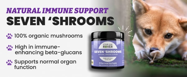 Seven Shrooms Natural Immune Support