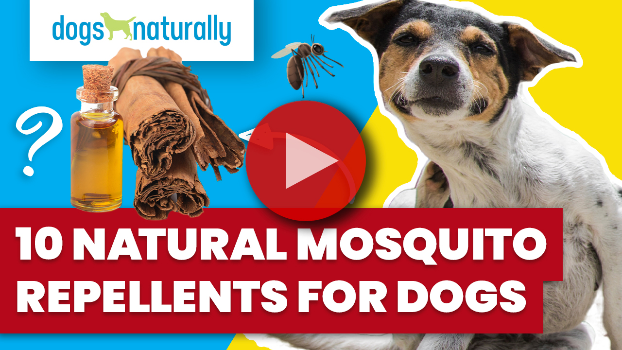 signs it's a food allergy