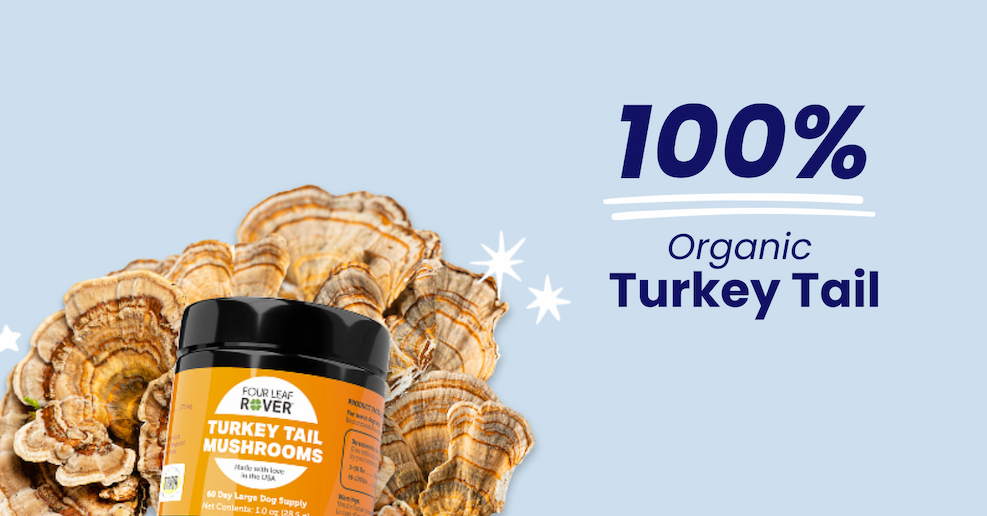 Clean Heart For Dogs