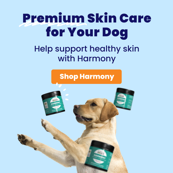 Shop Harmony