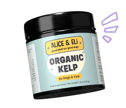 Organic Kelp