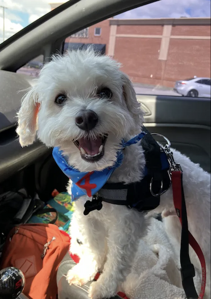 Jan B's 5 Star Review