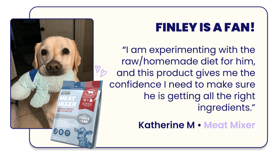 Finley is a Fan!