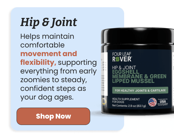 Maintain movement and flexibility with Hip & Joint