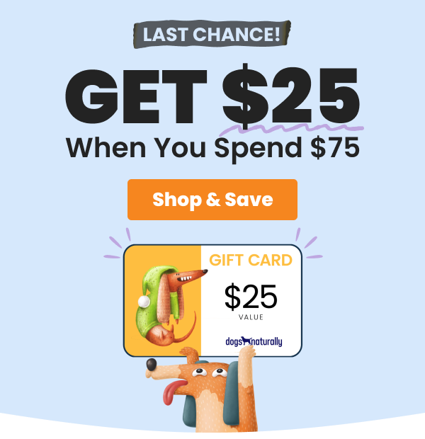 dog holding gift card last chance for Gift card