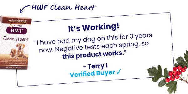5 Star HWF Clean Heart Testimonial