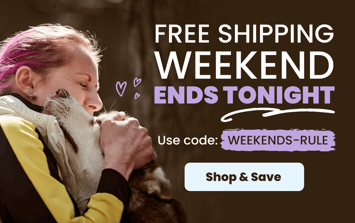 Image of a woman with pink hair holding a dog