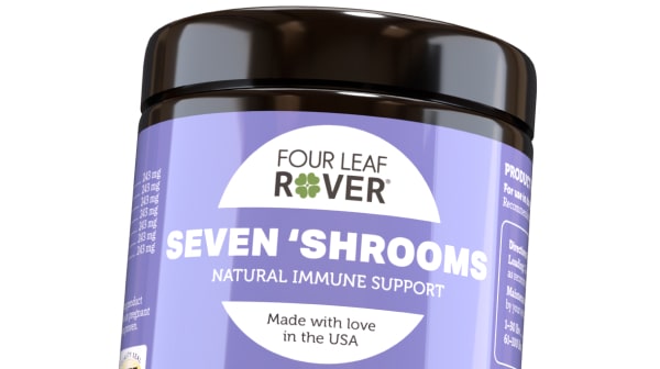 close up for Seven 'Shrooms jar