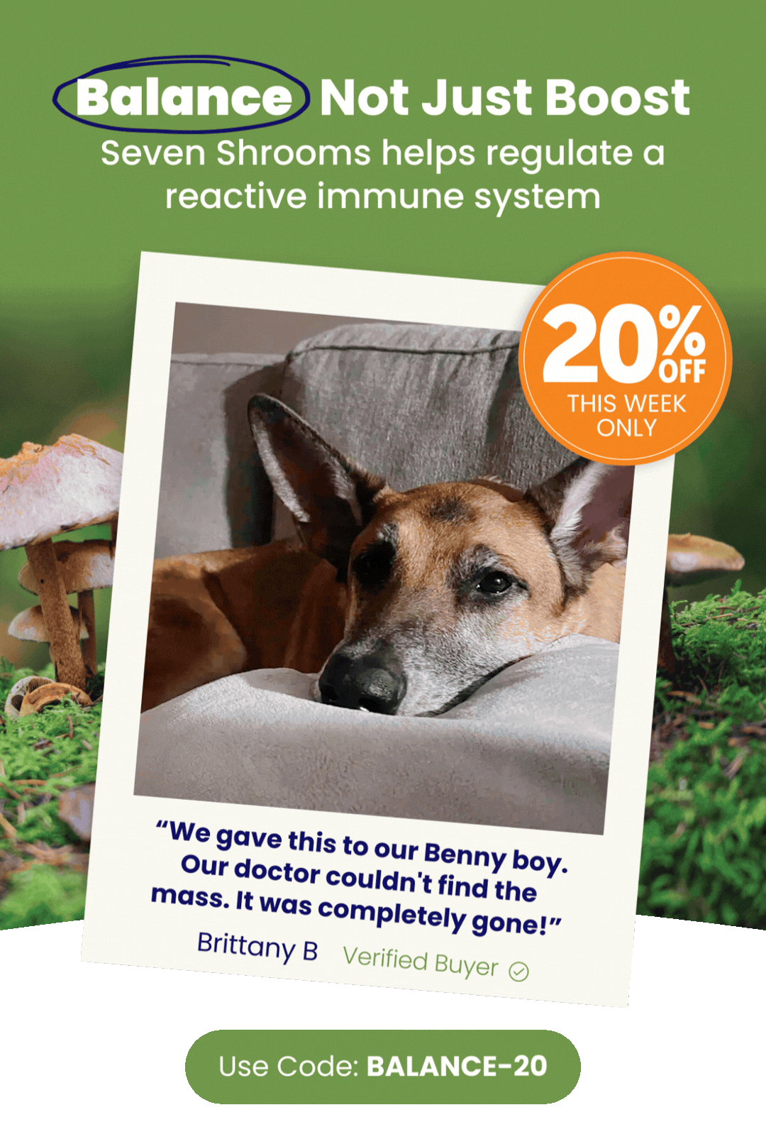 20% Off Seven Shrooms