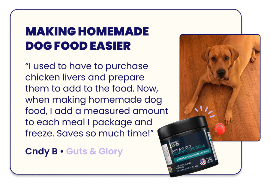 Making Homemade Dog Food Easier