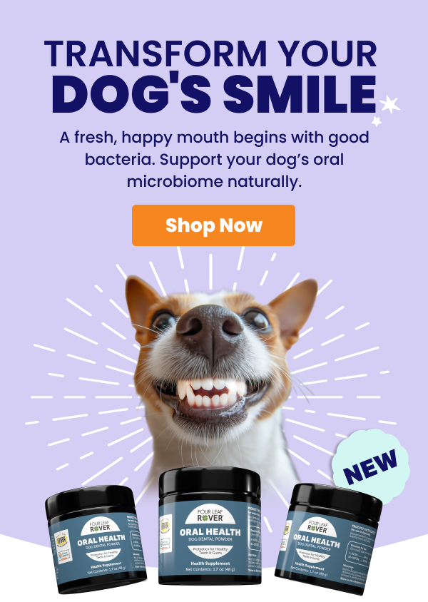 New Oral Health probiotic for dogs