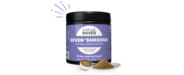 Seven 'Shrooms purple jar