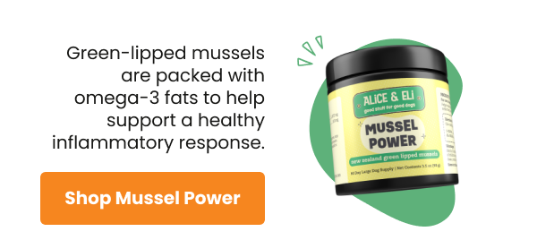 Shop Mussel Power