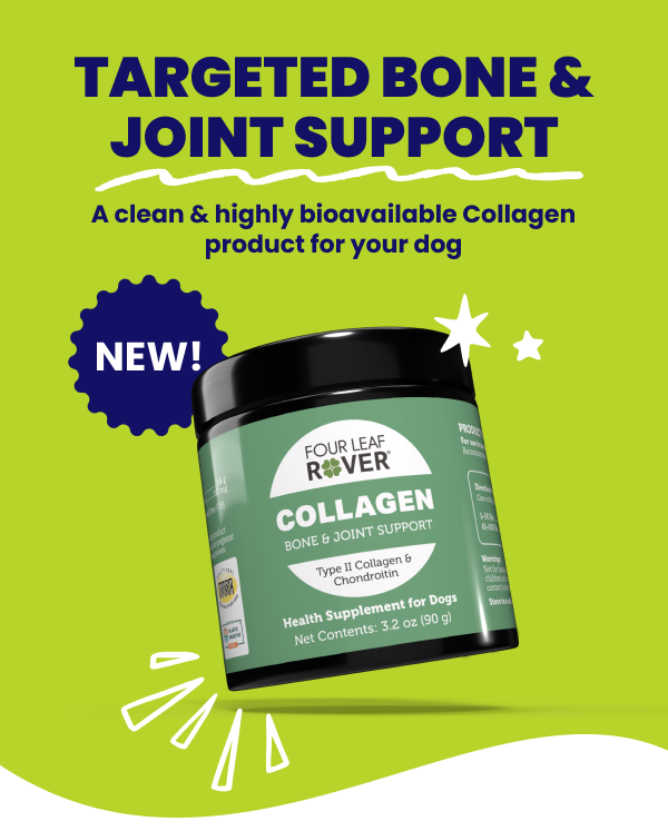 green background collagen jar floating new product