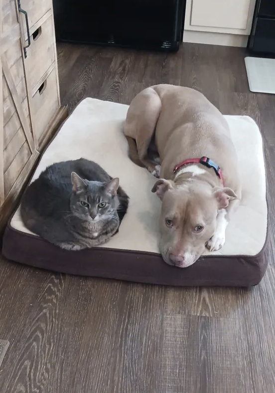 Doreen R's 5 Star Review