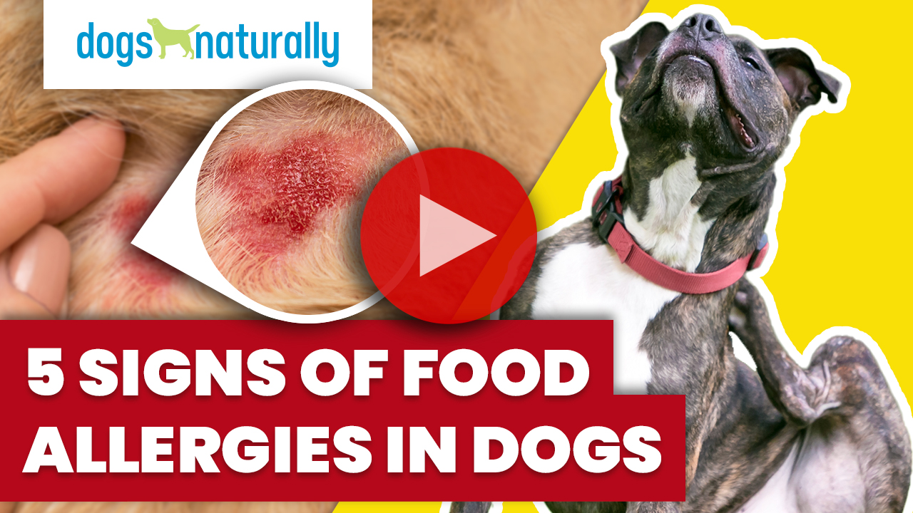 signs it's a food allergy