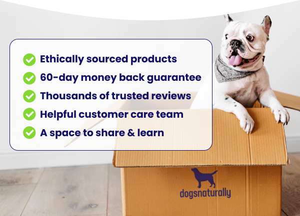 75 Dog Years Of Trust