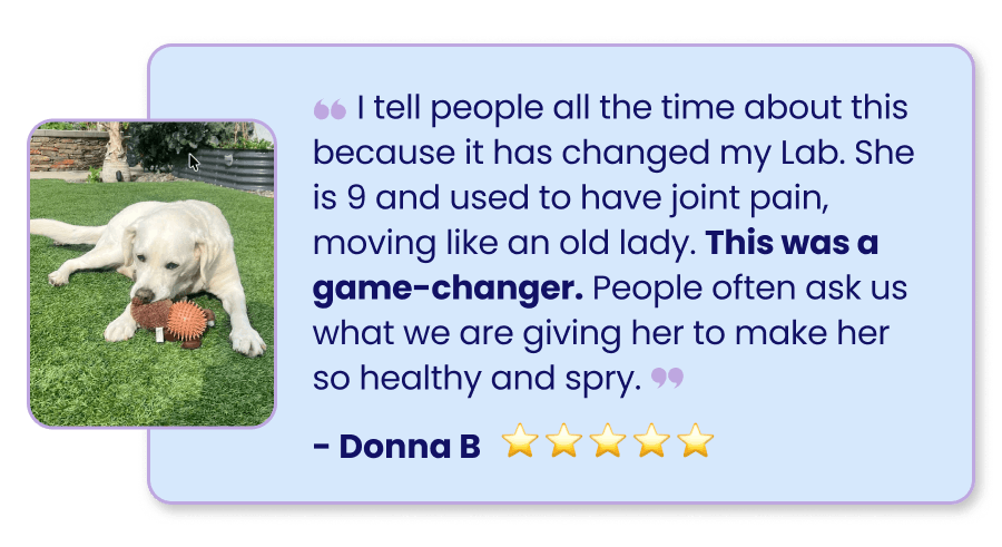 "This was a game changer..." Hip & Joint 5 star testimonial 
