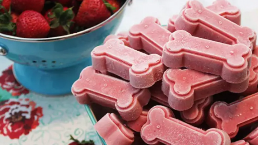 dog smoothie bones DIY recipe