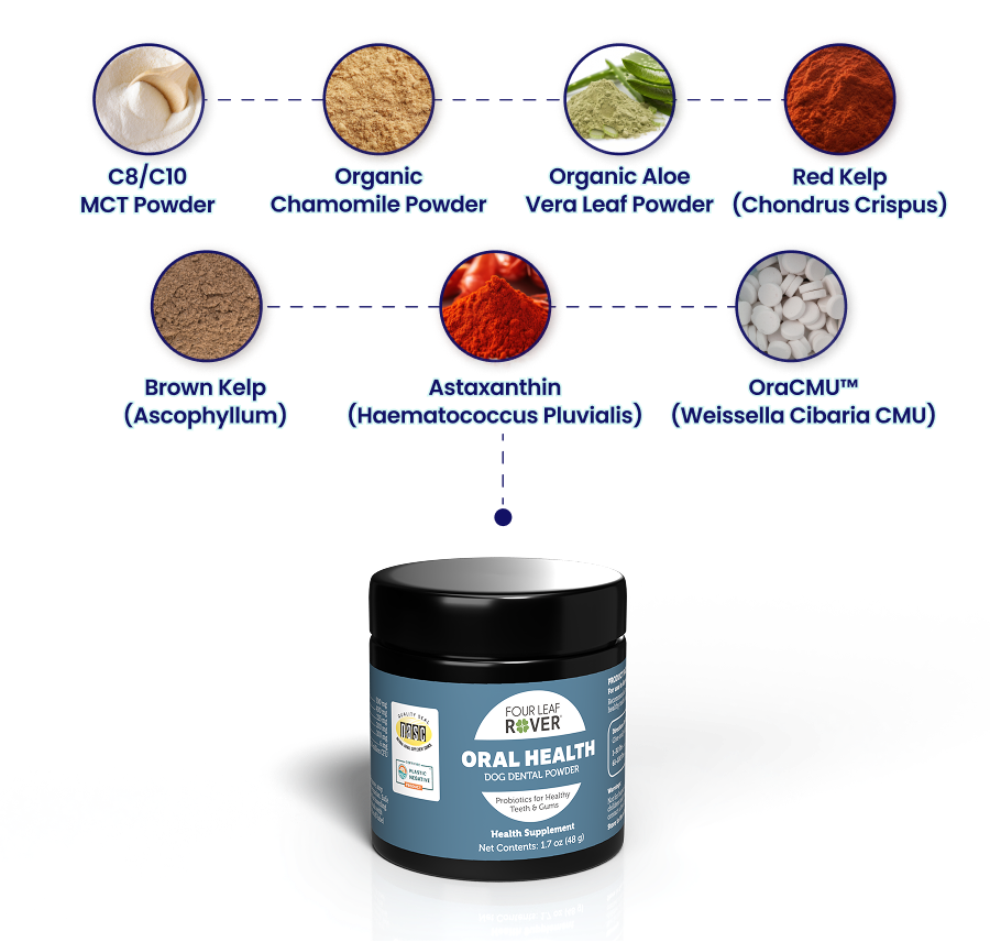 ingredients and Oral Health Jar