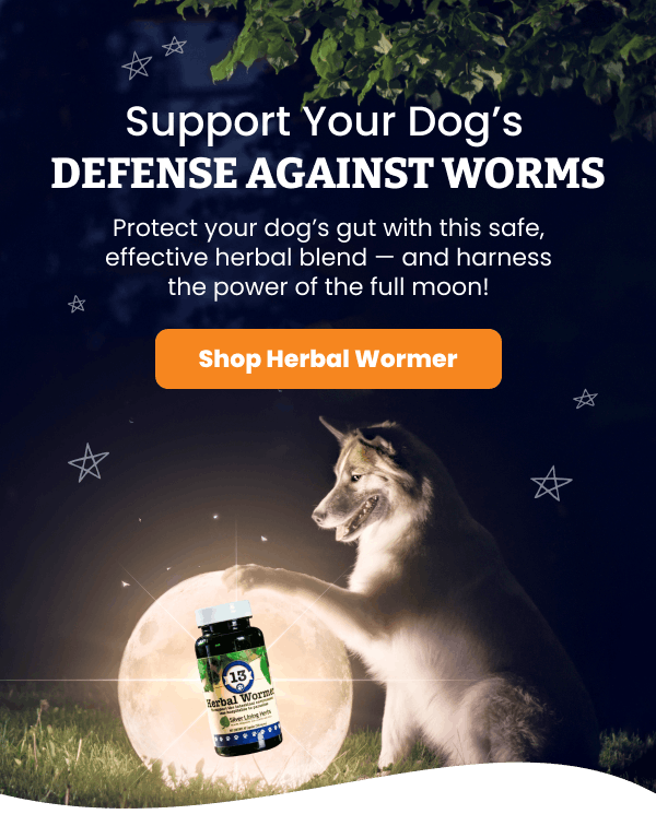 Dog touching a glowing moon with a Herbal Wormer bottle