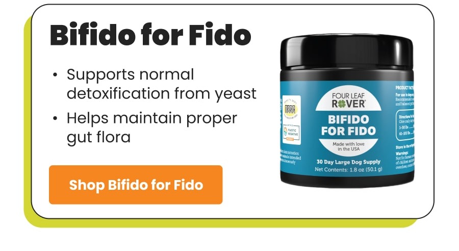 Bifido maintain proper gut flora