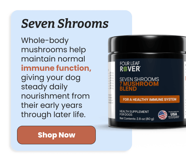 Support immune function with Seven Shrooms